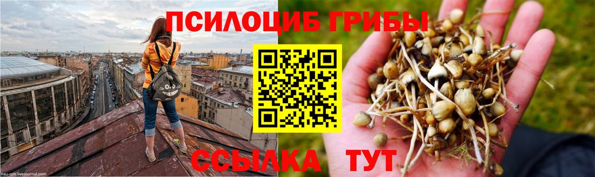 Галлюциногенные грибы мицелий  Галлюциногенные грибы Magic Shrooms  Магнитогорск  Вход с VPN 